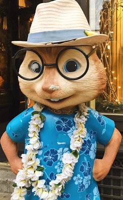 Halloween Adventure Shop by null