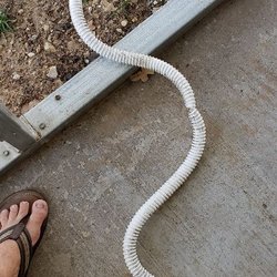 RV Tech Mobile Services - Replacement of macerator pump hose for Class C