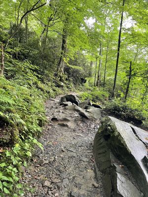 Rainbow Falls Trail by null