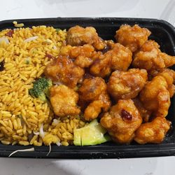 Panda Garden - General Tso chicken