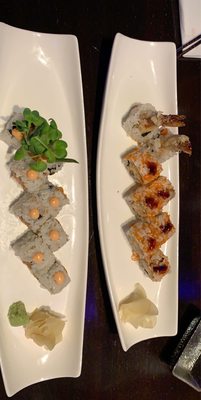 Purple Shell Boston by null