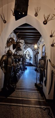 Burg Reichenstein by null