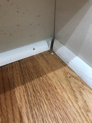 CASTLE KEEPERS HOUSE CLEANING OF GREENVILLE - Updated January 2025 - 18