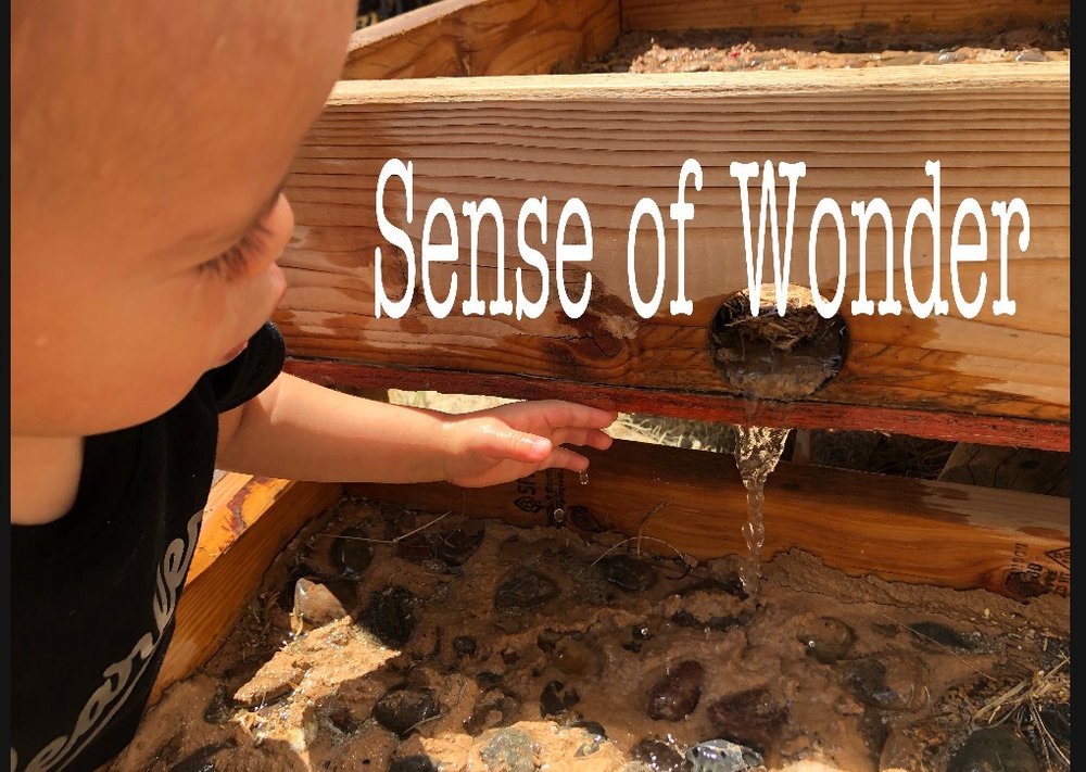 SMALL WORLD FAMILY CHILDCARE Updated October 2024 35 Photos 47348