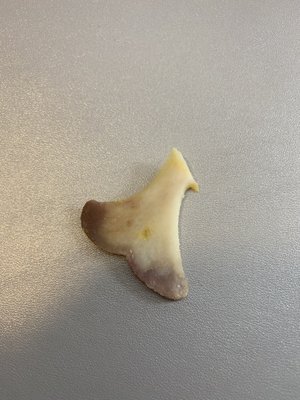 Capriotti's Sandwich Shop by null