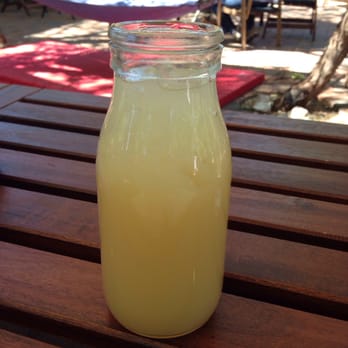 ChocolaTree - Ginger lemonade - Vegetarian Near Me - Sedona, Arizona ChocolaTree - Ginger lemonade - Vegetarian Near Me - Sedona, Arizona