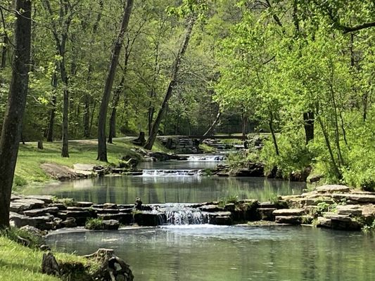 Dogwood Canyon Nature Park by null