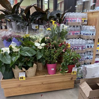 Trader Joe's - Flowers - Grocery Near Me - Rockville, Maryland