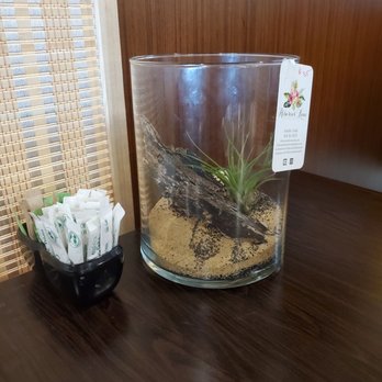 Dada Spa Salon & Cafe - There were little terrariums on every table created by a local artist for sale. The one on our table was $35. - Day Spas Near Me - Honolulu, Hawaii