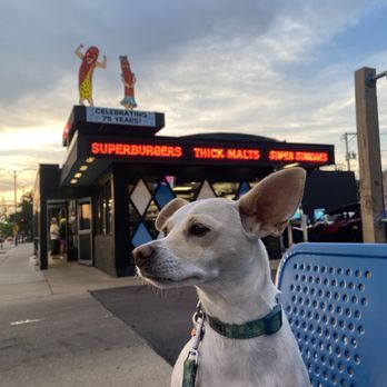Superdawg Drive-In - Hot Dogs Near Me - Chicago, Illinois Superdawg Drive-In - Hot Dogs Near Me - Chicago, Illinois