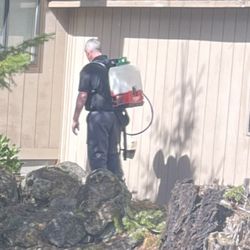 A Better Pest Solution - Keeping home Pest free.