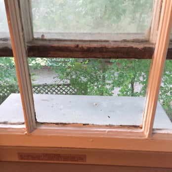 Holden Inn - I wonder why it smells musty and moldy? - Hotels Near Me - Wellfleet, Massachusetts