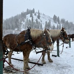 Eagle Creek Ranch - Rockie