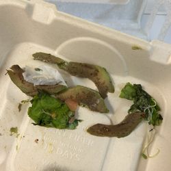 Island Corner Cafe - This is NOT OK!! Dead Avo and lettuce.