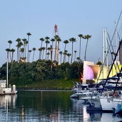 Long Beach - June 15, 2025 | Sunday | Boats | View | Scenery!