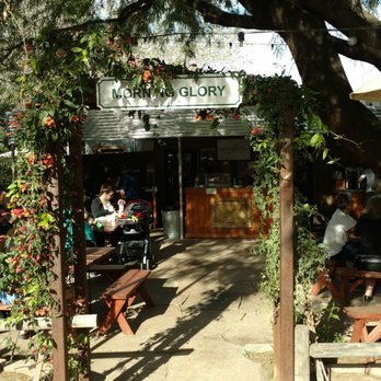 Morning Glory Cafe - Breakfast & Brunch Near Me - Phoenix, Arizona Morning Glory Cafe - Breakfast & Brunch Near Me - Phoenix, Arizona