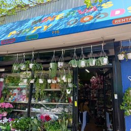 Exterior photo of Minerva's Party Goods - Queens, New York Exterior photo of Minerva's Party Goods - Queens, New York
