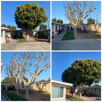 Reyes Home Services - We are a team of professionals dedicated to helping clients across Orange County resolve any of their home needs. We facilitate a flexible schedule of operations to address the work you need done quickly and efficiently. I am committed to ensuring you that every aspect of your home looks exactly the way you want it! We are happy to help with reliable ongoing maintenance of your home or property with standing appointments
Please contact us by phone or email " for a competitive quote on the work you need done and allow us to handle the odds and ends of your home’s care.
At Reyes Home Services we believe that you deserve to enjoy the beauty and functionality of your property and strive to help you create an oasis away from the stresses of life’s busy obligations. Reyes Home Services - We are a team of professionals dedicated to helping clients across Orange County resolve any of their home needs. We facilitate a flexible schedule of operations to address the work you need done quickly and efficiently. I am committed to ensuring you that every aspect of your home looks exactly the way you want it! We are happy to help with reliable ongoing maintenance of your home or property with standing appointments
Please contact us by phone or email " for a competitive quote on the work you need done and allow us to handle the odds and ends of your home’s care.
At Reyes Home Services we believe that you deserve to enjoy the beauty and functionality of your property and strive to help you create an oasis away from the stresses of life’s busy obligations.