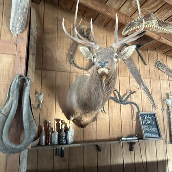 Wooden Nickel Ranch - My friend - Venues & Event Spaces Near Me - Menifee, California Wooden Nickel Ranch - My friend - Venues & Event Spaces Near Me - Menifee, California
