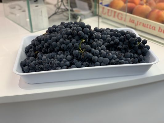 Mercato di Sant’Ambrogio by null Mercato di Sant’Ambrogio by null