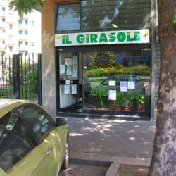 Il Girasole