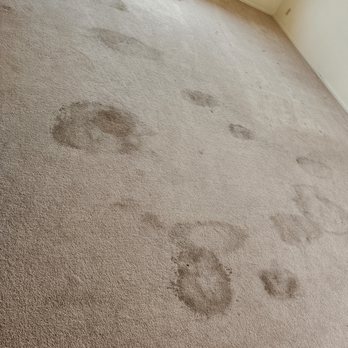 Colgate Carpet Cleaning - More dirty carpet from renter! - Carpet Cleaning Near Me - Buellton, California Colgate Carpet Cleaning - More dirty carpet from renter! - Carpet Cleaning Near Me - Buellton, California