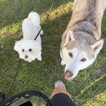 Ortega Park - My baby and her friend - Parks Near Me - Sunnyvale, California Ortega Park - My baby and her friend - Parks Near Me - Sunnyvale, California
