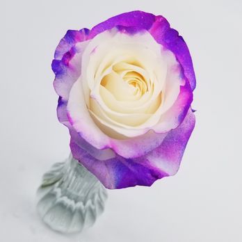 Sadorra Floral - www.sadorrafloraldesigns.com - Florists Near Me - Keaau, Hawaii Sadorra Floral - www.sadorrafloraldesigns.com - Florists Near Me - Keaau, Hawaii