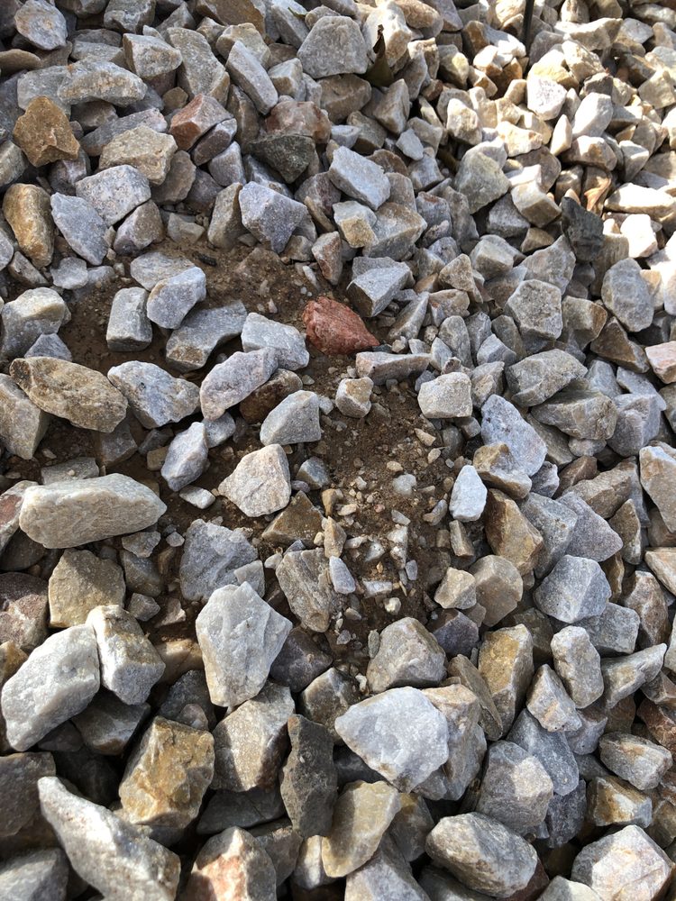 CHIPS TREE SERVICE 83 Photos & 168 Reviews 1707 S 22nd Ave, Phoenix