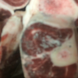 Teddy's Tasty Meats