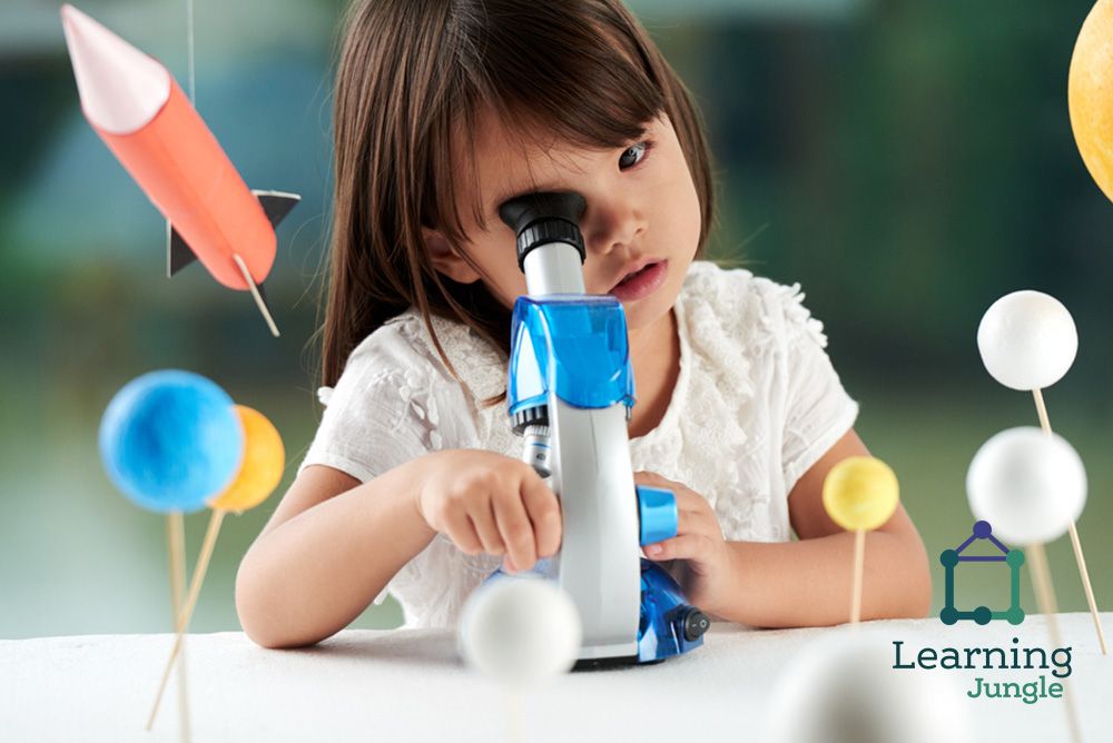 LEARNING JUNGLE LONE MOUNTAIN Updated August 2024 15 Photos & 19