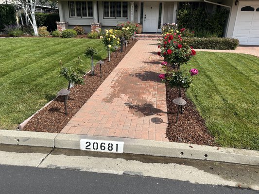 Reliable Gardening Services - Looking for a reliable local gardener? I specialize in professional landscaping services, including expert garden maintenance, innovative garden design, lawn care, seasonal clean-ups, mulching, planting, and eco-friendly yard solutions. Whether you need regular landscape maintenance or a custom backyard makeover, I deliver personalized, affordable, and high-quality results that boost your home’s curb appeal. Get hassle-free, top-rated service from a trusted local gardening professional—perfect for busy homeowners seeking a beautiful outdoor space. Contact me today for a free estimate and see why I’m a top choice for landscaping near you! Reliable Gardening Services - Looking for a reliable local gardener? I specialize in professional landscaping services, including expert garden maintenance, innovative garden design, lawn care, seasonal clean-ups, mulching, planting, and eco-friendly yard solutions. Whether you need regular landscape maintenance or a custom backyard makeover, I deliver personalized, affordable, and high-quality results that boost your home’s curb appeal. Get hassle-free, top-rated service from a trusted local gardening professional—perfect for busy homeowners seeking a beautiful outdoor space. Contact me today for a free estimate and see why I’m a top choice for landscaping near you!