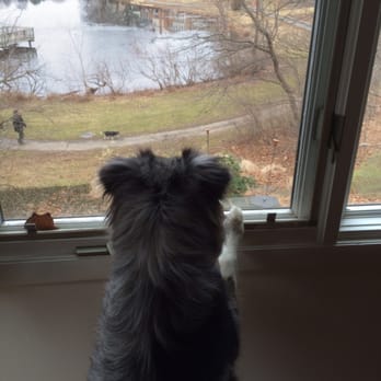 Lake Braddock Community - Who doesn't enjoy a lake view? - Homeowner Association Near Me - Burke, Virginia Lake Braddock Community - Who doesn't enjoy a lake view? - Homeowner Association Near Me - Burke, Virginia