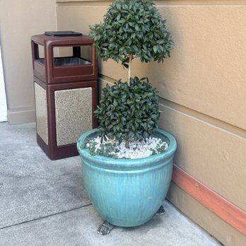 Hyatt House San Ramon - Hotels Near Me - San Ramon, California