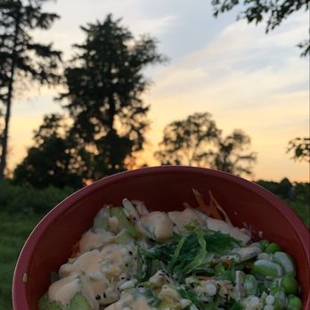 Poke Bros - Tofu poke bowl - Seafood Near Me - Naperville, Illinois