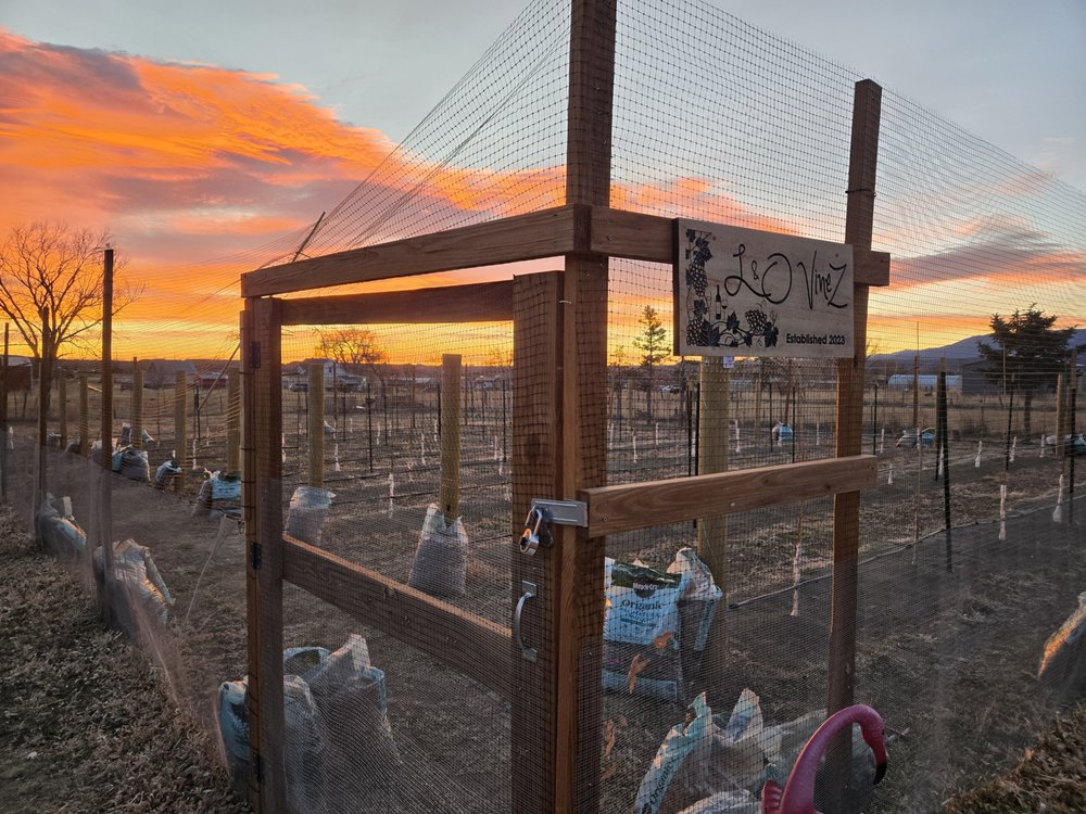 L & O VineZ - vineyard in Cañon City, CO