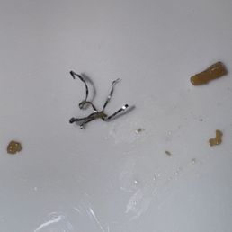 steel shards steel shards