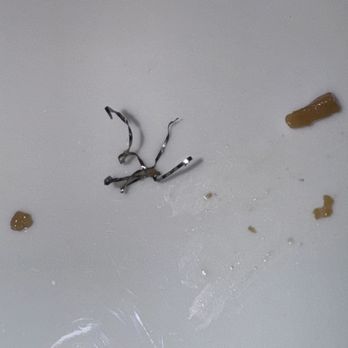 Bean Curd - steel shards - A metallic object with twisted, broken parts lies on a white surface, accompanied by small pieces of debris or food. - Chinese Near Me - Chatham, New Jersey