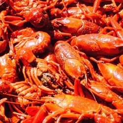 Louisiana Seafood Company - Crawfish