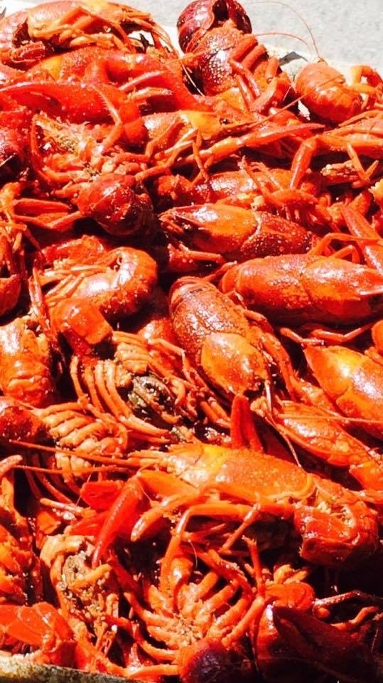 Louisiana Seafood Company Logo