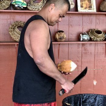 Hawaii Turtle Tours - Coconut water bar - Tours Near Me - Honolulu, Hawaii