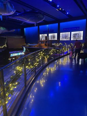 Wonders Of Wildlife National Museum & Aquarium by null