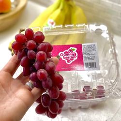 Trader Joe's - I bought the the grapes they were sampling. They literally taste like a healthy gummy bear!