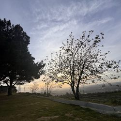 Nike Hill