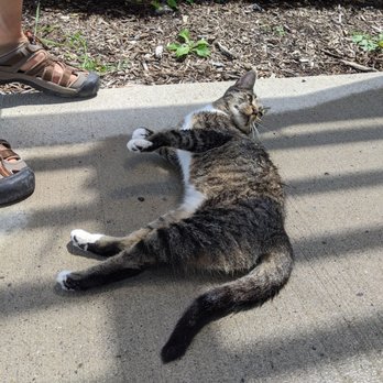 Ryan William Vineyard - She's so cute! - Wine Tasting Room Near Me - Burdett, New York