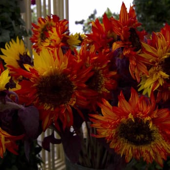 Bridget's Blooms - Florists Near Me - La Jolla, California