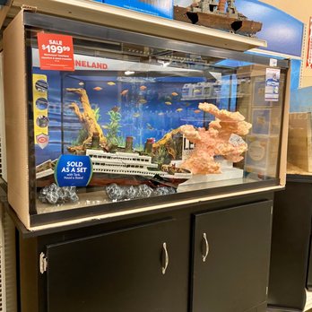 PetSmart Dog Training - Pet Stores Near Me - Seal Beach, California PetSmart Dog Training - Pet Stores Near Me - Seal Beach, California