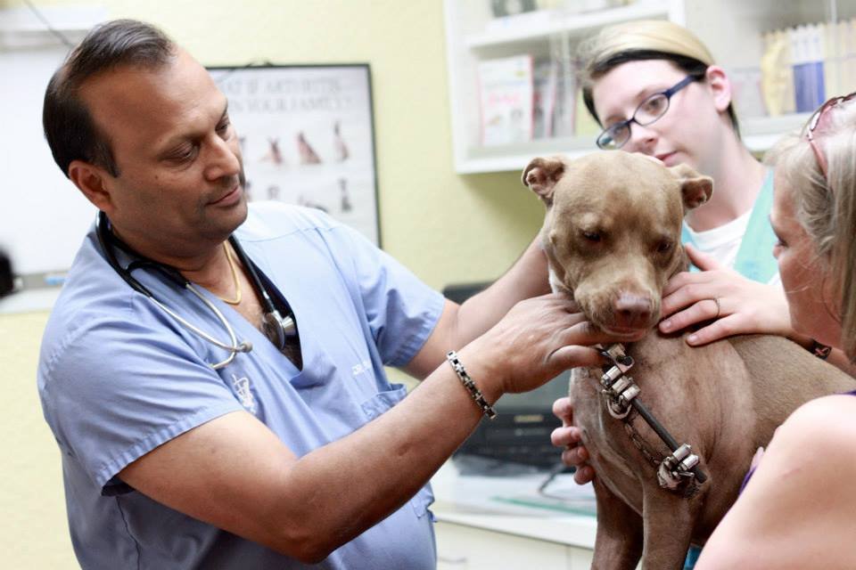 Aboite Animal Clinic & Housecall Practice - pet boarding facility in Fort Wayne, IN