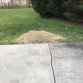 Full Throttle Stump Grinding - After - Tree Services Near Me Full Throttle Stump Grinding - After - Tree Services Near Me
