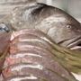 Pelican Seafood
